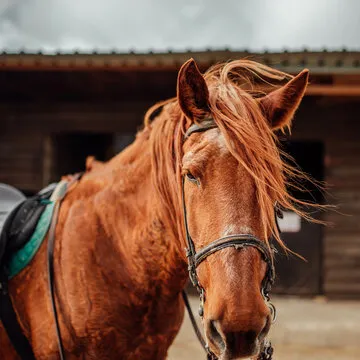 用户与数据分析界面